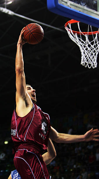 不仅能提高 不仅能提高